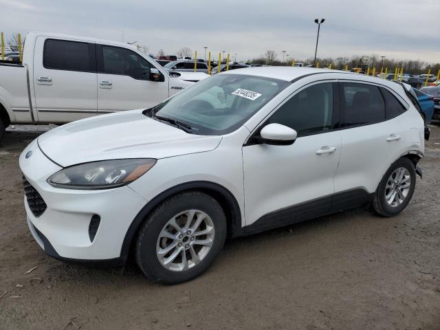  FORD ESCAPE 2020 Белый