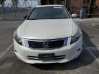 2009 Honda Accord Exl en Venta en Wilmington, CA - Minor Dent/Scratches