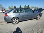 2005 Chevrolet Malibu Maxx Ls na sprzedaż w Eugene, OR - Front End