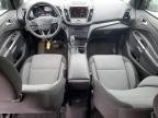 2019 Ford Escape Se en Venta en Ham Lake, MN - Side