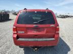 2012 Ford Escape Xlt for Sale in Earlington, KY - Hail