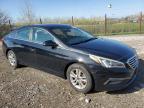 2015 Hyundai Sonata Se იყიდება Indianapolis-ში, IN - Rear End