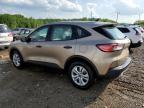 2020 Ford Escape S na sprzedaż w Louisville, KY - Hail
