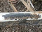 1998 Other Rv Travel Tra for Sale in Phoenix, AZ - Water/Flood