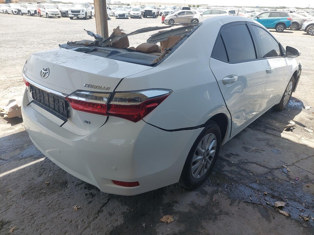 RKLBL9HE6K5267821 - 2019 Toyota COROLLA - #undefined