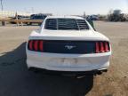 2020 Ford Mustang  for Sale in Albuquerque, NM - Front End