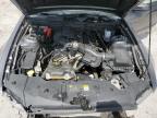 2013 Ford Mustang  zu verkaufen in Apopka, FL - Front End