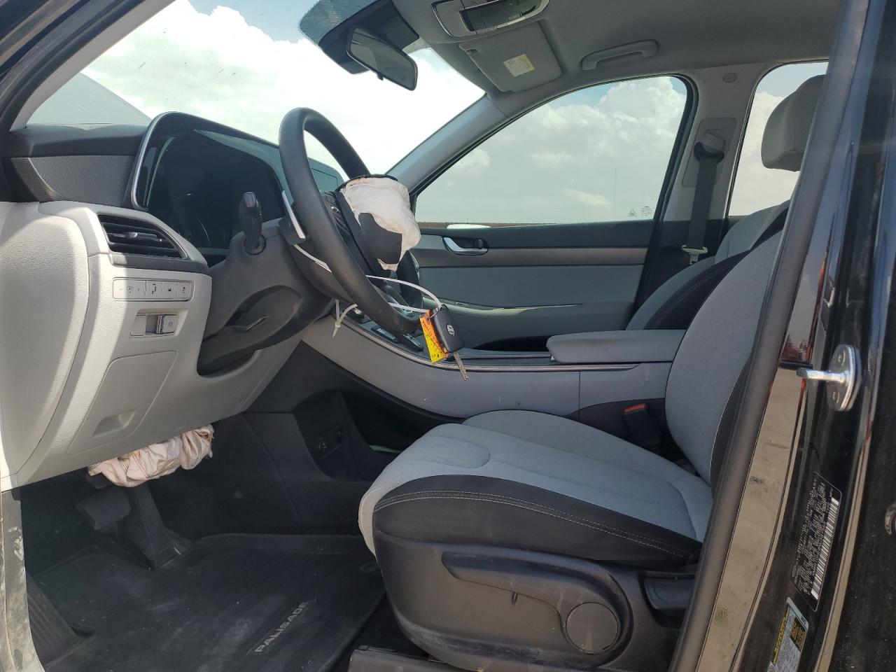 2022 Hyundai Palisade Se VIN: KM8R1DHE8NU387565 Lot: 54209515