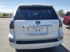 2020 Lexus Gx 460 Premium na sprzedaż w Albuquerque, NM - Front End