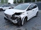 2019 FORD KUGA ST-LI for sale at Copart BELFAST