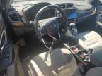 2019 Honda Cr-V Ex for Sale in Louisville, KY - Water/Flood