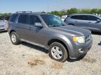 Tifton, GA에서 판매 중인 2012 Ford Escape Xlt - Hail