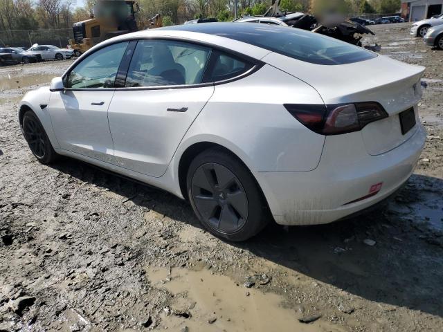  TESLA MODEL 3 2023 White