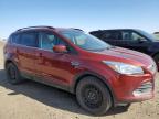 Rocky View County, AB에서 판매 중인 2015 Ford Escape Se - Hail