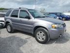 2007 Ford Escape Limited for Sale in Walton, KY - Mechanical