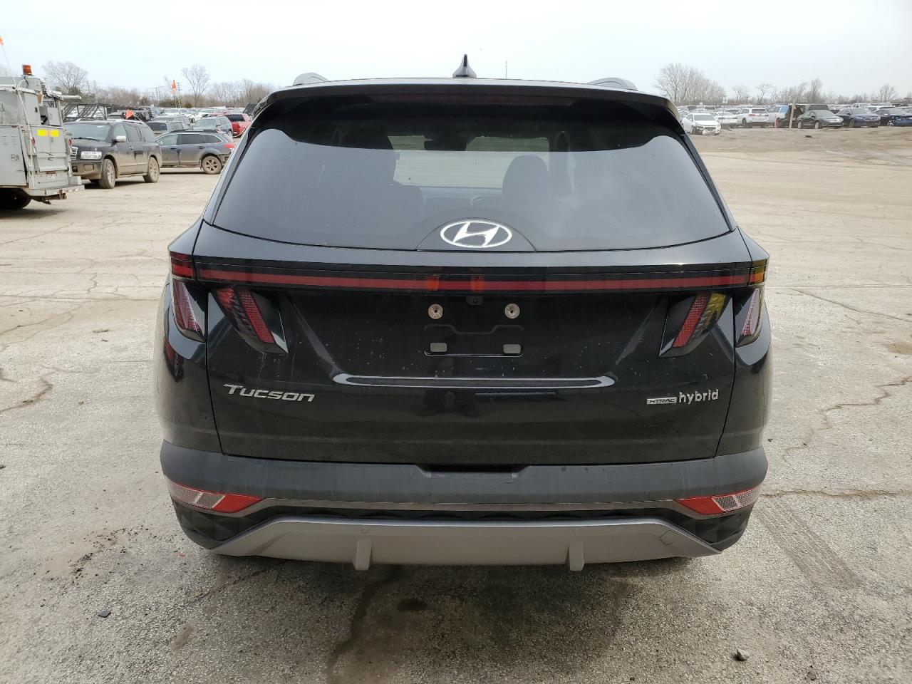 2024 Hyundai Tucson Limited VIN: KM8JECD14RU148955 Lot: 51633415