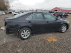 2009 TOYOTA CAMRY BASE for sale at Copart ON - LONDON