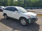 2009 Honda Cr-V Exl за продажба в Shreveport, LA - Water/Flood