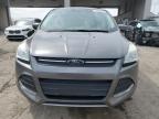 2014 Ford Escape Se en Venta en Fort Wayne, IN - Hail