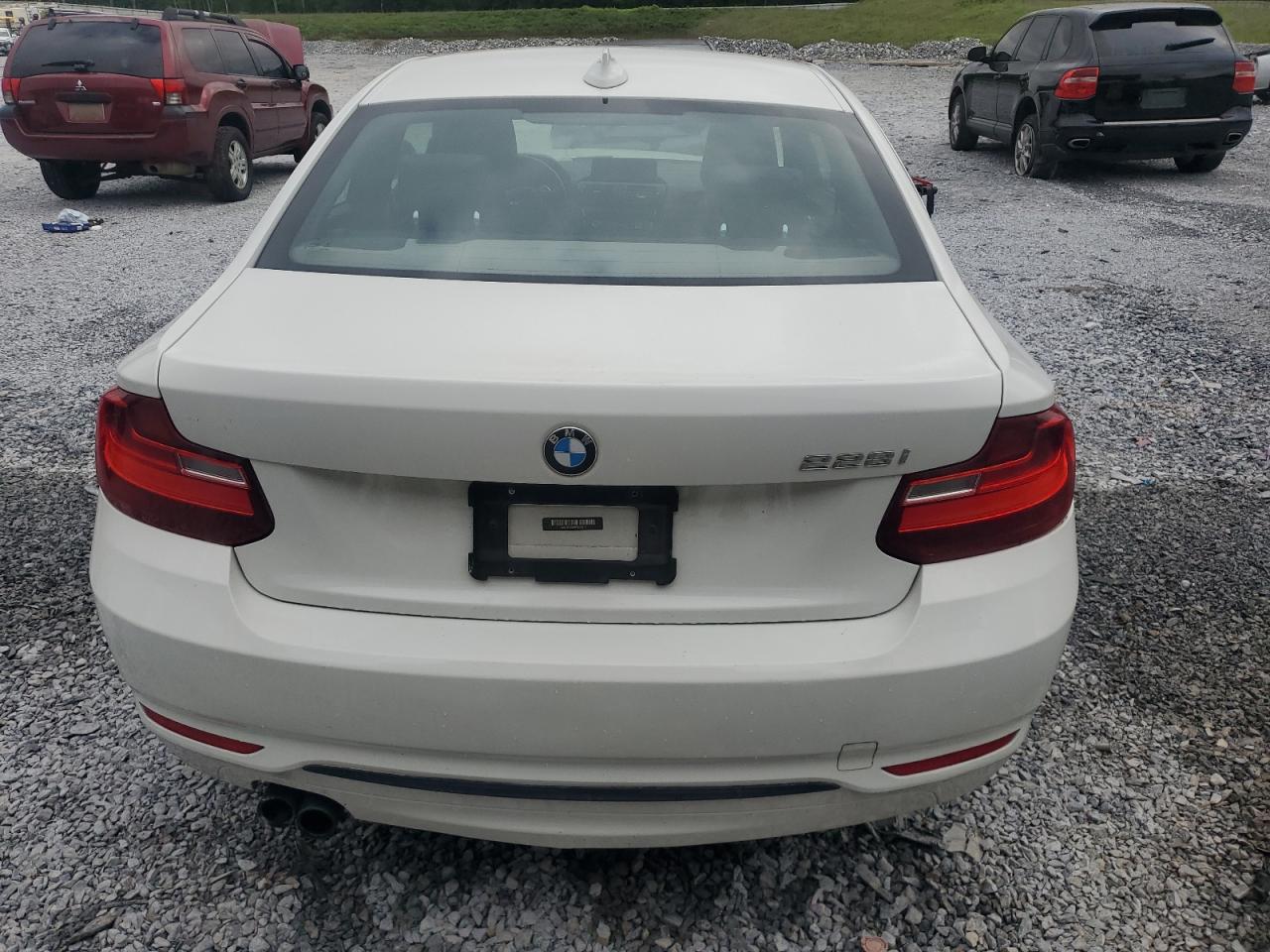 2015 BMW 228 I VIN: WBA1F5C56FV257311 Lot: 54824555