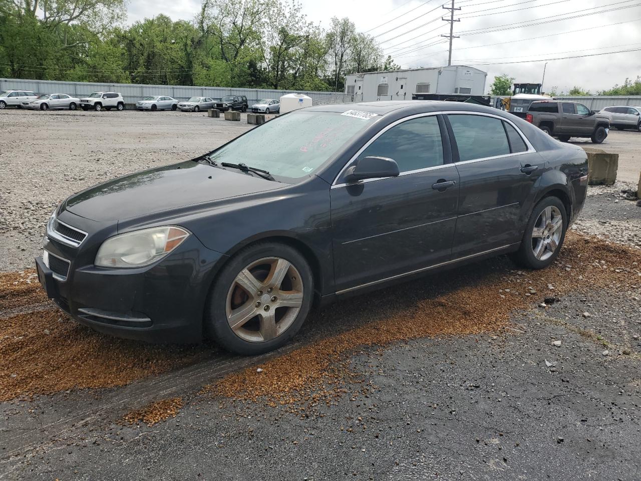 2011 Chevrolet Malibu 2Lt na sprzedaż w Bridgeton, MO - Water/Flood