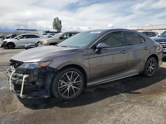  TOYOTA CAMRY 2024 Szary