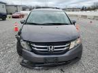 2015 Honda Odyssey Ex for Sale in Barberton, OH - Front End