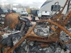 2022 Freightliner Cascadia 113 Semi Truck for Sale in Elgin, IL - Burn