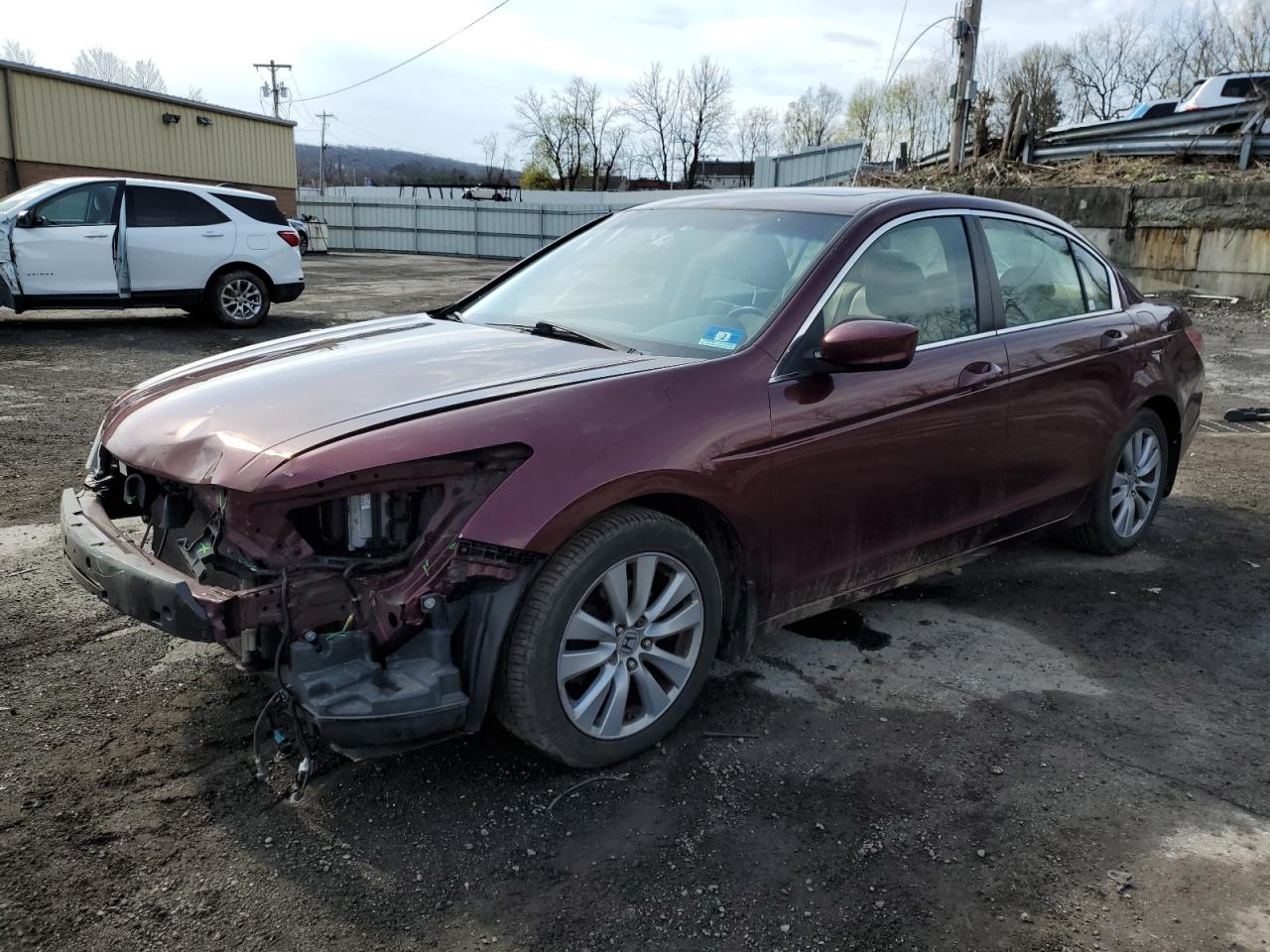 2011 Honda Accord Exl for Sale in Marlboro, NY - Front End