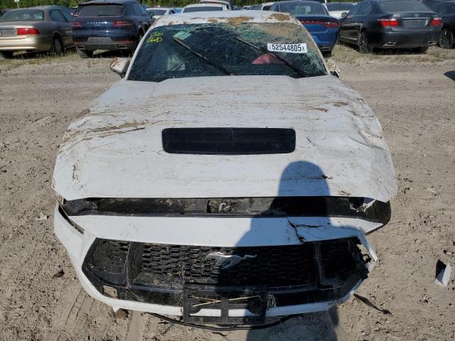  FORD MUSTANG 2024 White