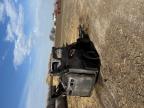 2008 Caterillar 272C for Sale in Greenwood, NE - All Over