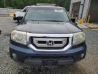 2010 Honda Pilot Exl للبيع في Concord، NC - Minor Dent/Scratches