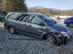 2008 Honda Odyssey Exl იყიდება Windsor-ში, NJ - Front End