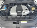 2013 Audi Q7 Premium Plus للبيع في Orlando، FL - Rear End
