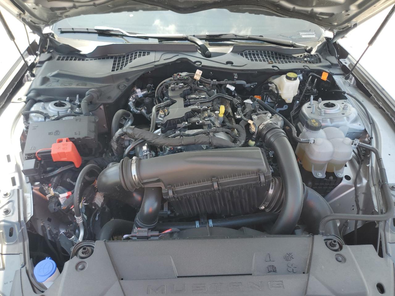 2024 Ford Mustang VIN: 1FA6P8TH4R5139947 Lot: 53601565
