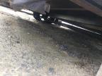 2023 Anvil Trailers Enclosed Cargo Trailer for Sale in Seaford, DE - Burn - Interior
