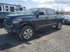 2017 Toyota Tundra Crewmax 1794 на продаже в Assonet, MA - Biohazard/Chemical