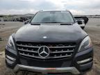 2013 Mercedes-Benz Ml 350 4Matic للبيع في Earlington، KY - Hail