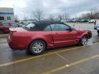 2007 Ford Mustang  en Venta en Louisville, KY - Front End