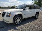2013 Cadillac Escalade Premium იყიდება Riverview-ში, FL - Minor Dent/Scratches