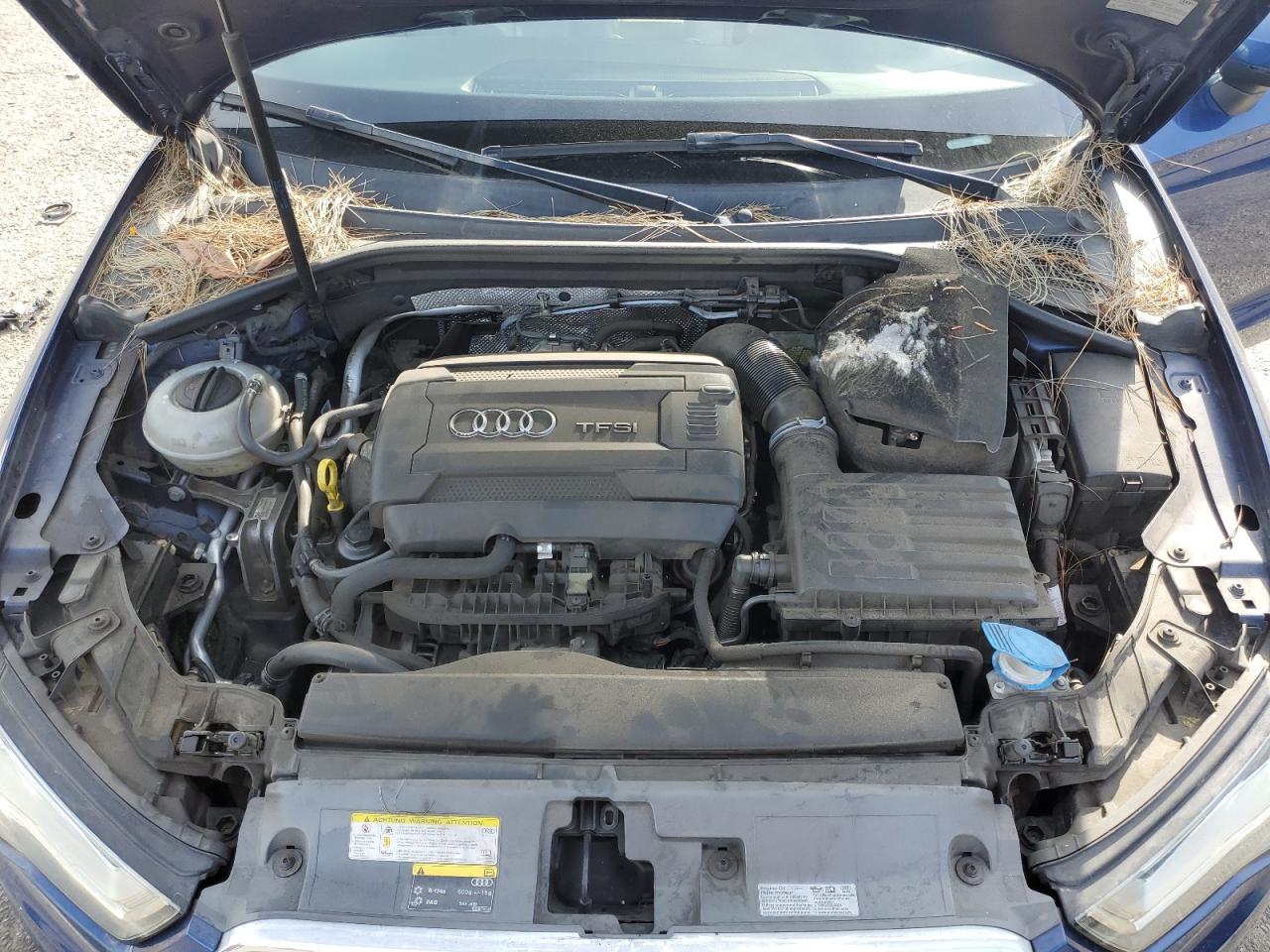 2015 Audi A3 Premium Plus VIN: WAUCCGFF5F1025789 Lot: 51186495