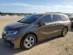 2018 Honda Odyssey Ex продається в San Antonio, TX - Hail