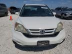 2010 Honda Cr-V Exl for Sale in Taylor, TX - Rear End