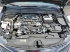 2024 Toyota Corolla Le en Venta en Opa Locka, FL - Minor Dent/Scratches