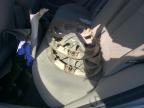 2010 Toyota Corolla Base for Sale in Montreal-est, QC - All Over