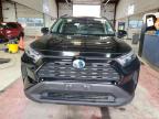 2022 Toyota Rav4 Xle للبيع في Angola، NY - Vandalism