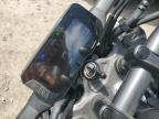 2024 HONDA CBF300 NA for sale at Copart LA - BATON ROUGE