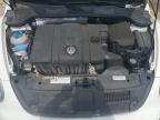 2013 Volkswagen Beetle  for Sale in Louisville, KY - Hail