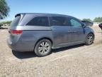 2015 Honda Odyssey Exl na sprzedaż w Mercedes, TX - Water/Flood