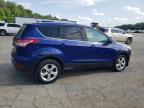 2013 Ford Escape Se en Venta en Shreveport, LA - Hail